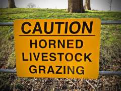 Caution Horned Livestock Warning Sign