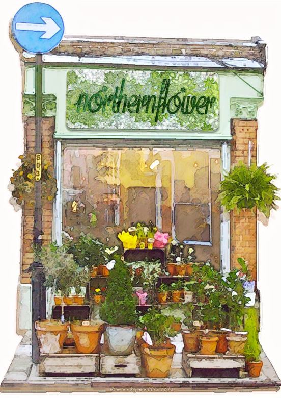 Northern Flower shop digital painting the vibes