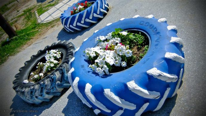 tyre flower displays olympic beach the vibes