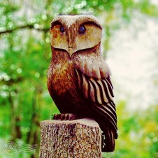 Alderley Owl