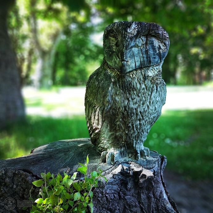 Carved wooden owl Chorlton Park